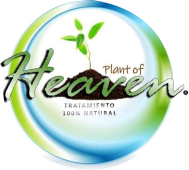 Planta del Cielo
